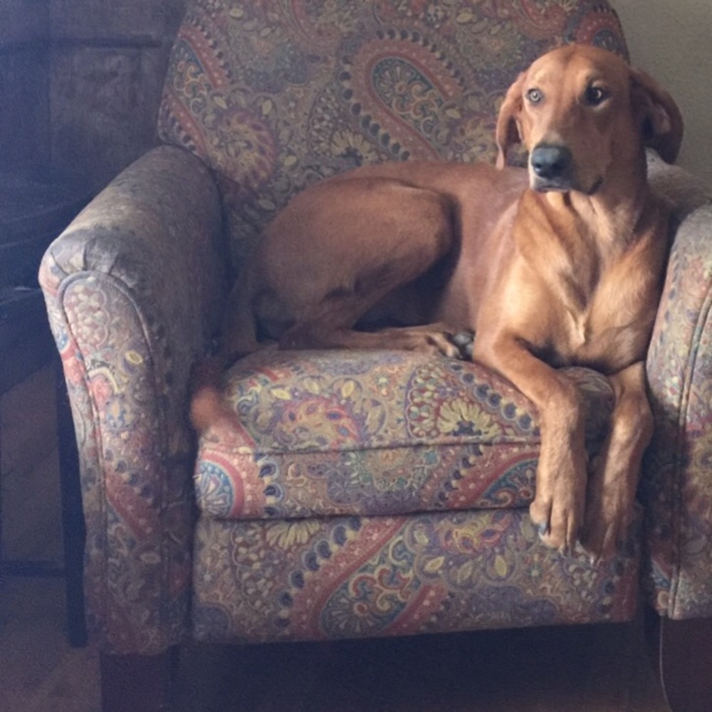 Meet your Posher, Kathy